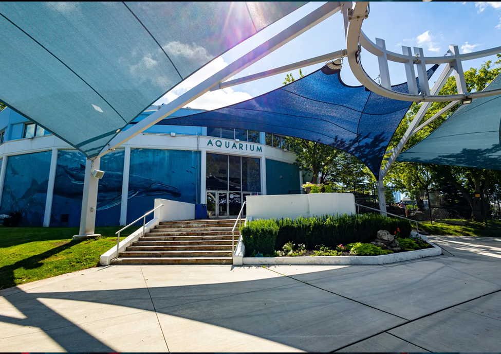Visiting the Aquarium of Niagara