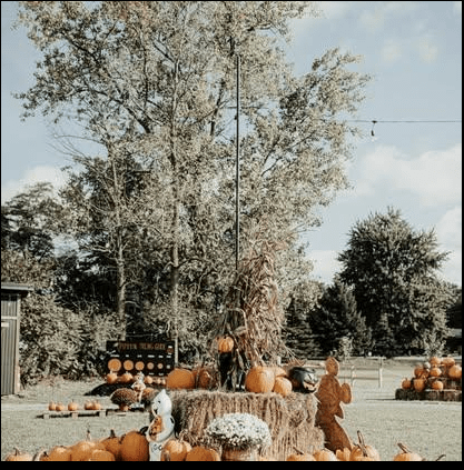 Pumpkins, Haunted Hayrides, Activities Oh&nbsp;My!