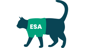 More Than An Accomodation: Navigating Student Housing With An ESA