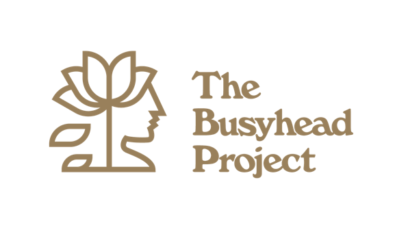 The Busyhead Project: A Mental Health Organization Created by Noah Kahan to Help Those&nbsp;Struggling